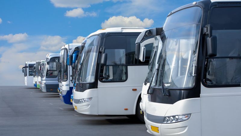 A range of busses